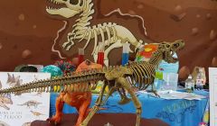 Un Giorno Nel Giurassico Animazione Esperimenti Scientifici Dinosauri Avventura Bambini Ragazzi Leo Scienza Laboratorio 5